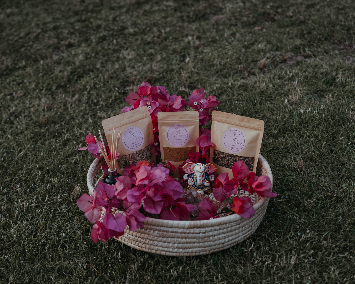 Cosmos Healing Herbal Enema Blend | Tranquility