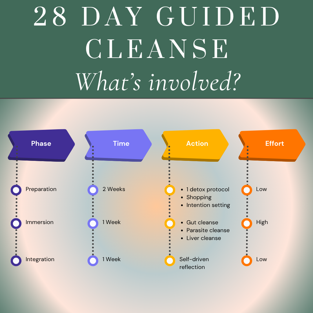 ATMA | The Sacred Cleanse  | A 28-Day Guided Journey
