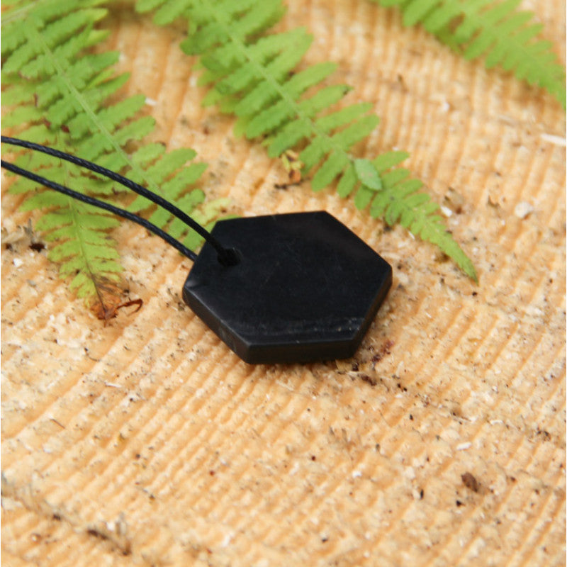 Shungite Hexagon Necklace | EMF Protection