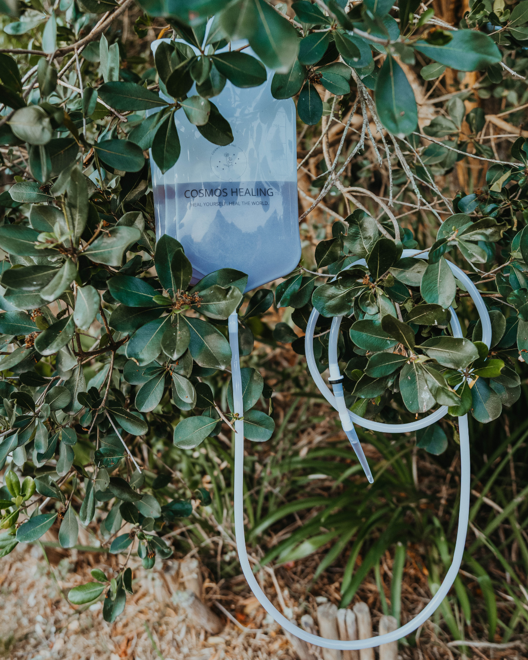 Cosmos Healing Organic Enema Coffee | Liver Detox