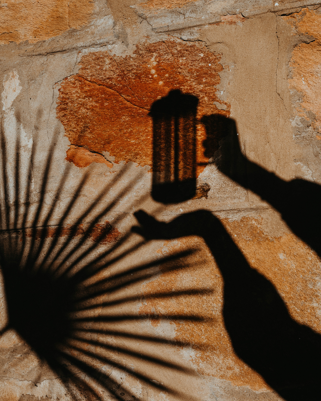 Cosmos Healing Organic Enema Coffee | Liver Detox