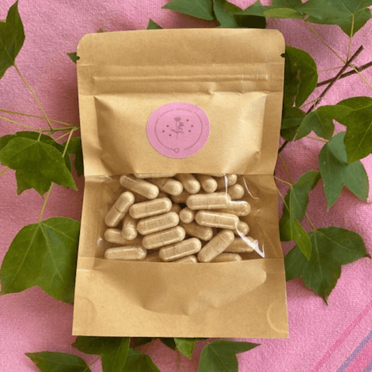 Cosmos Healing Lion's Mane Capsules - Cosmos Healing