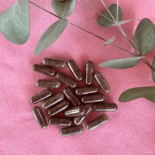 Cosmos Healing Reishi Capsules - Cosmos Healing